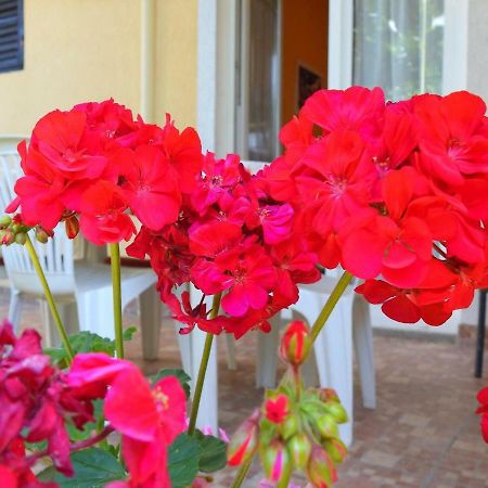 روفينج Apartment Girasole المظهر الخارجي الصورة