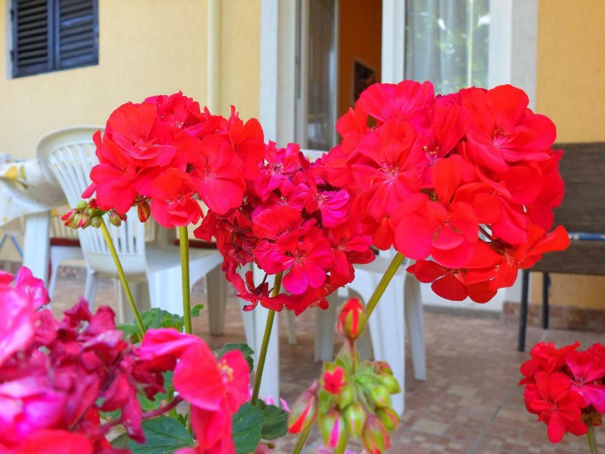 روفينج Apartment Girasole المظهر الخارجي الصورة